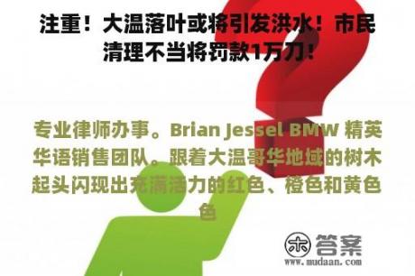 注重！大温落叶或将引发洪水！市民清理不当将罚款1万刀！