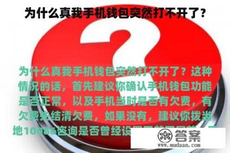 为什么真我手机钱包突然打不开了？