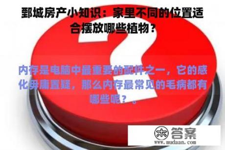 鄄城房产小知识：家里不同的位置适合摆放哪些植物？