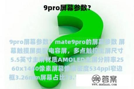 9pro屏幕参数？