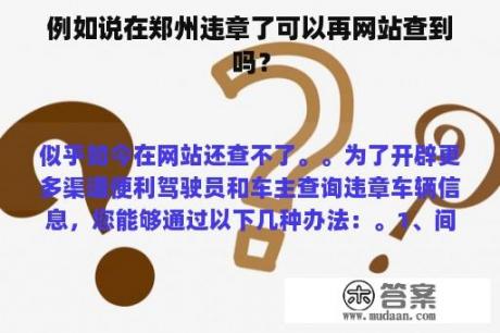 例如说在郑州违章了可以再网站查到吗？