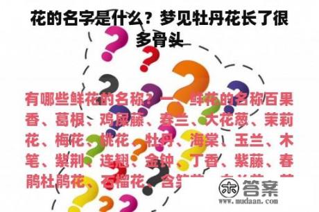 花的名字是什么？梦见牡丹花长了很多骨头