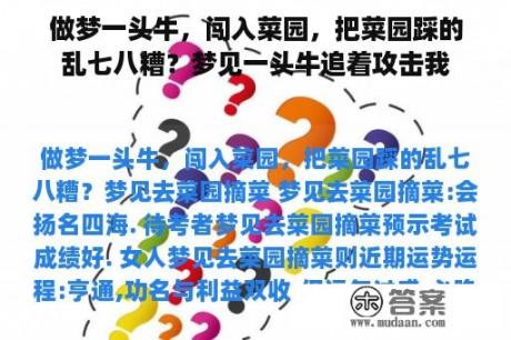 做梦一头牛，闯入菜园，把菜园踩的乱七八糟？梦见一头牛追着攻击我