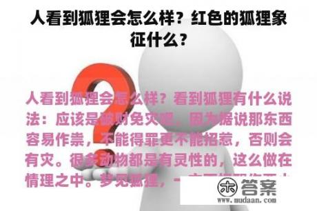 人看到狐狸会怎么样？红色的狐狸象征什么？