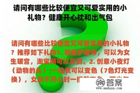 请问有哪些比较便宜又可爱实用的小礼物？健康开心枕和出气包