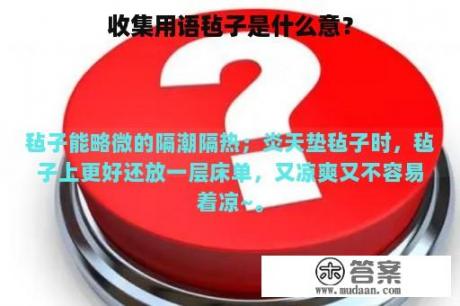 收集用语毡子是什么意？