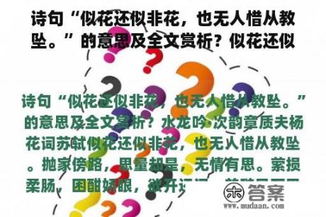 诗句“似花还似非花，也无人惜从教坠。”的意思及全文赏析？似花还似非花作者