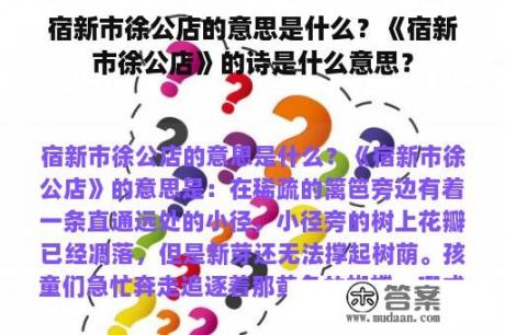 宿新市徐公店的意思是什么？《宿新市徐公店》的诗是什么意思？