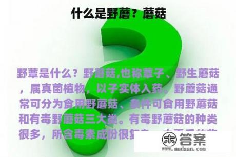 什么是野蘑？蘑菇