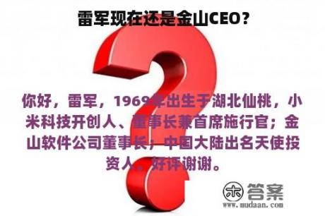 雷军现在还是金山CEO？