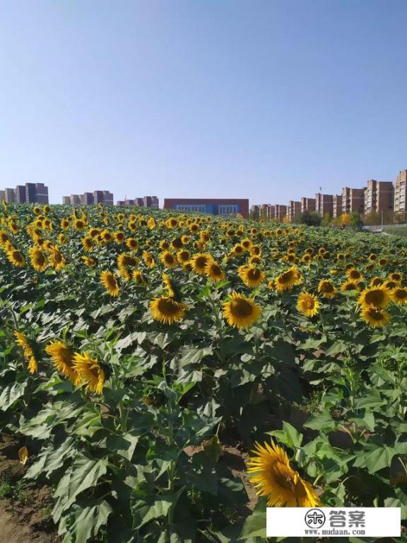 两天假期适合去哪？小长假去哪里旅游合适