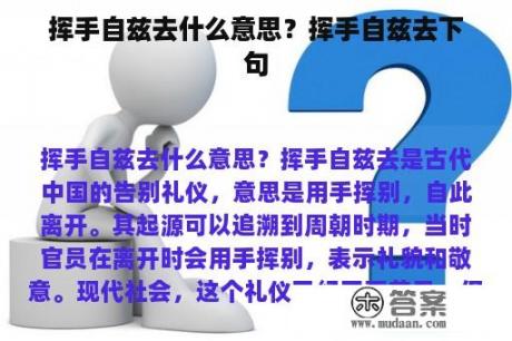 挥手自兹去什么意思？挥手自兹去下句