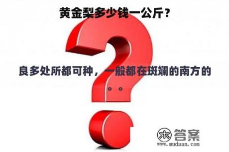 黄金梨多少钱一公斤？