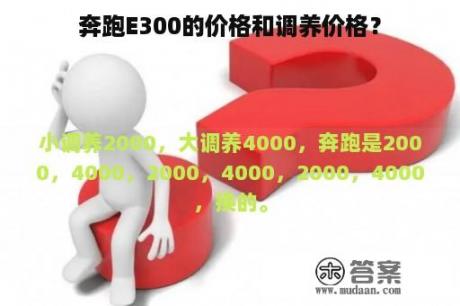 奔跑E300的价格和调养价格？