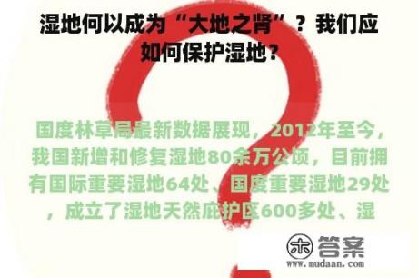 湿地何以成为“大地之肾”？我们应如何保护湿地？