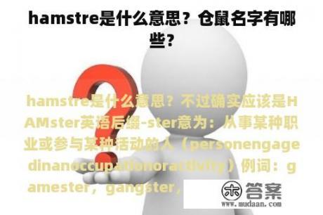 hamstre是什么意思？仓鼠名字有哪些？