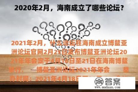 2020年2月，海南成立了哪些论坛？