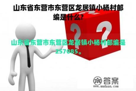 山东省东营市东营区龙居镇小杨村邮编是什么?