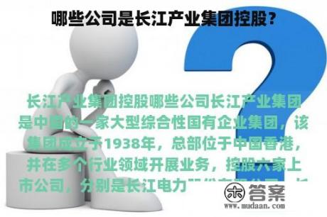 哪些公司是长江产业集团控股？