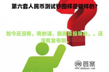 第六套人民币测试钞图样是啥样的？