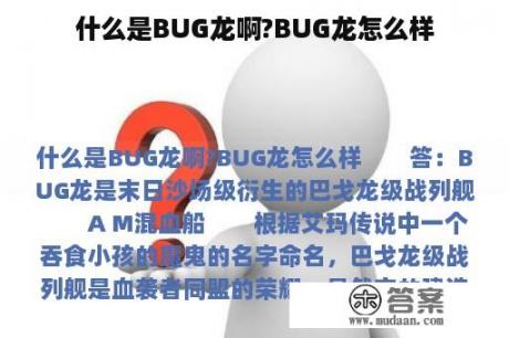 什么是BUG龙啊?BUG龙怎么样