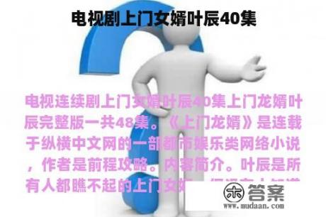 电视剧上门女婿叶辰40集