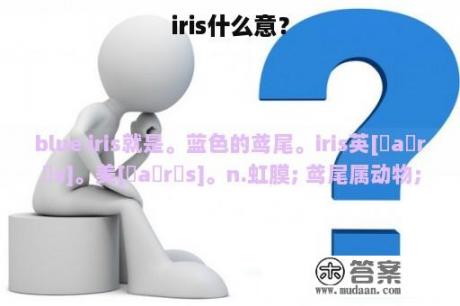 iris什么意？