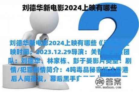 刘德华新电影2024上映有哪些