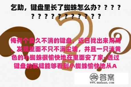 乞助，键盘里长了蜘蛛怎么办？？？？？？？？？？？？？？？