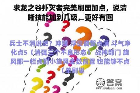 求龙之谷扑灭者完美刷图加点，说清晰技能加到几级，更好有图