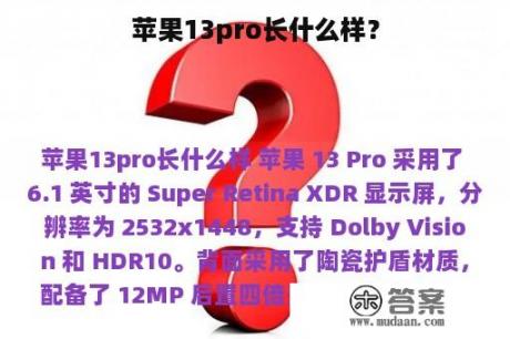 苹果13pro长什么样？