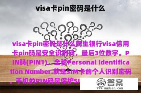 visa卡pin密码是什么