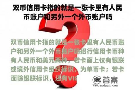 双币信用卡指的就是一张卡里有人民币账户和另外一个外币账户吗