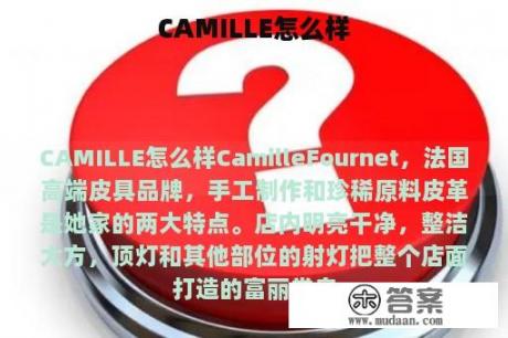 CAMILLE怎么样