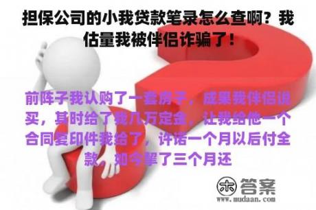 担保公司的小我贷款笔录怎么查啊？我估量我被伴侣诈骗了！