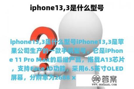 iphone13,3是什么型号