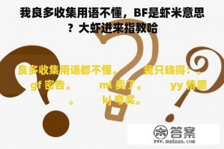 我良多收集用语不懂，BF是虾米意思？大虾进来指教哈