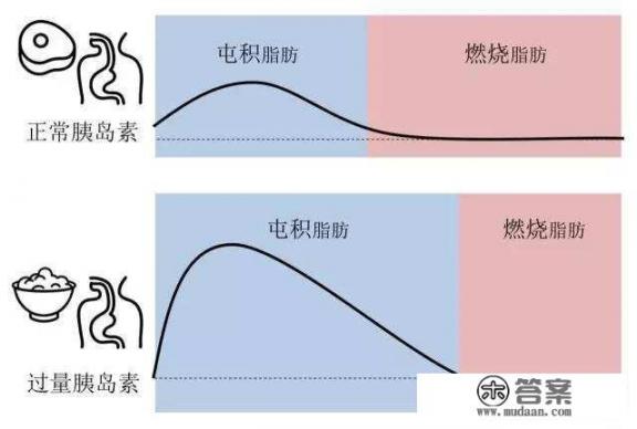 减肥时期晚饭吃什么最好