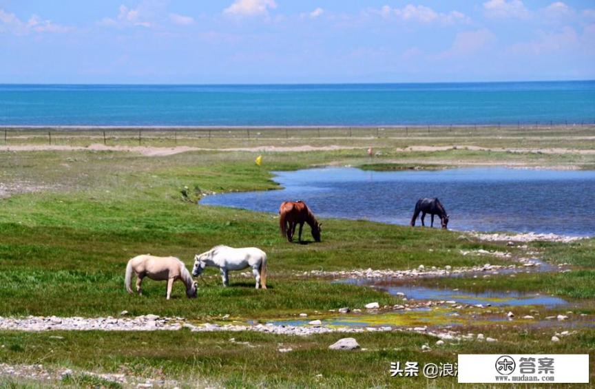 几月份去青海旅游最好