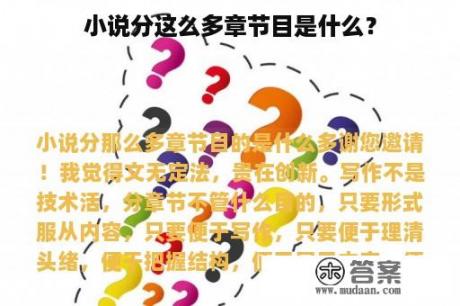 小说分这么多章节目是什么？