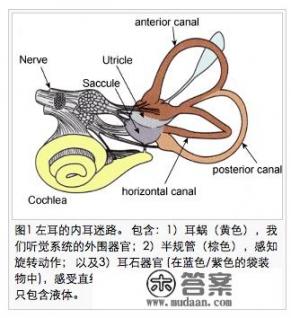 大家有过玩游戏会头晕不舒服的情况吗