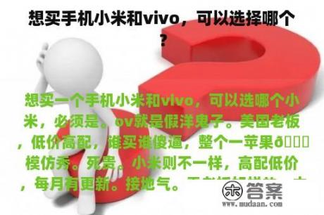 想买手机小米和vivo，可以选择哪个？