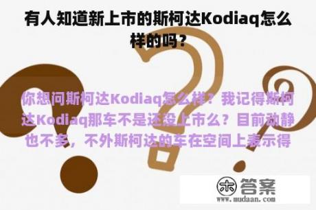 有人知道新上市的斯柯达Kodiaq怎么样的吗？