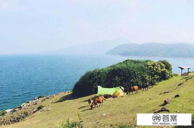 周末去香港玩2天，不购物，有没有什么好的旅游攻略可以推荐