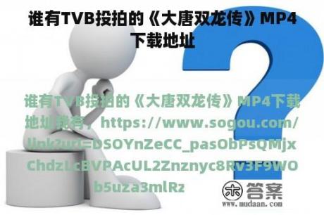 谁有TVB投拍的《大唐双龙传》MP4下载地址