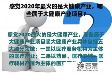 感觉2020年最火的是大健康产业，哪些属于大健康产业项目？