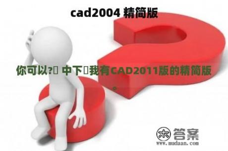 cad2004 精简版