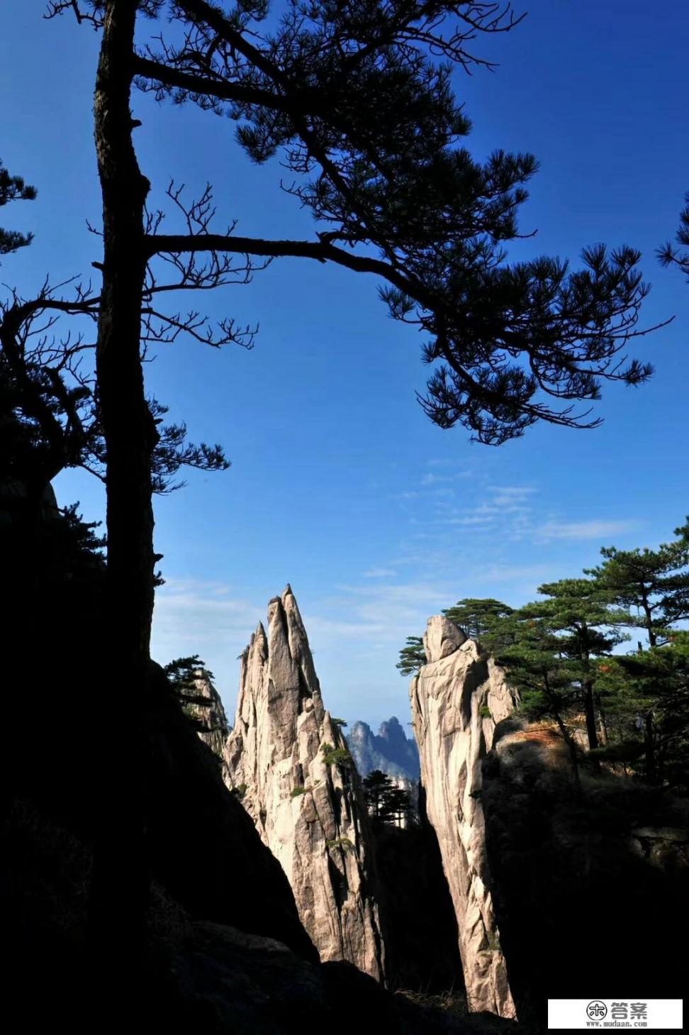 从事旅游行业，投资旅行社未来发展前景如何