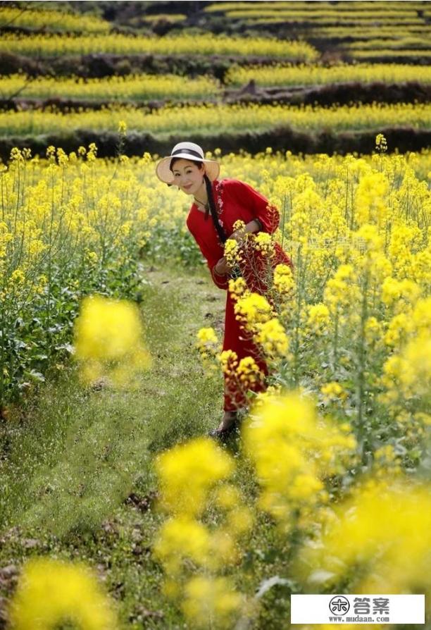 做饭的步骤是：买菜、洗菜、切菜、做菜，煮饭；摄影的步骤是啥