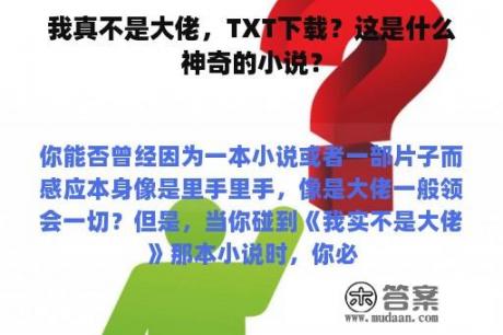 我真不是大佬，TXT下载？这是什么神奇的小说？